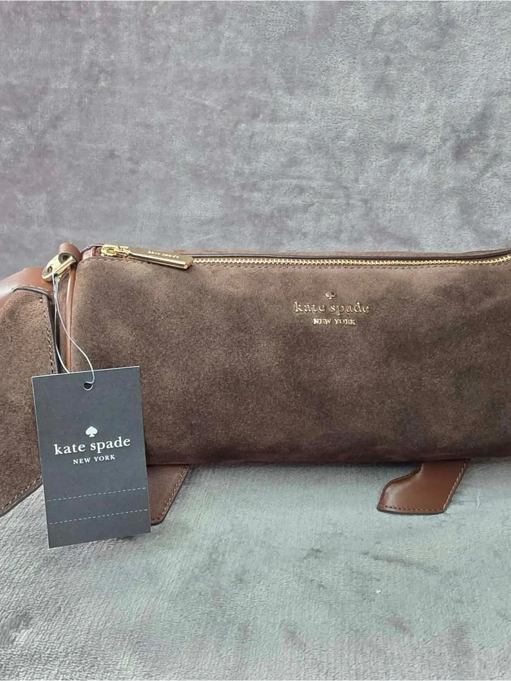 kate spade playful dachshund